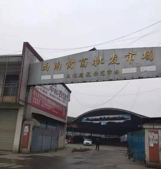 廣漢市市場(chǎng)監(jiān)督管理局最新發(fā)展規(guī)劃概覽