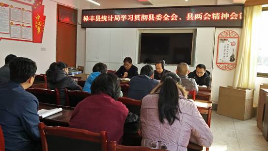 旌德縣統(tǒng)計(jì)局最新發(fā)展規(guī)劃概覽