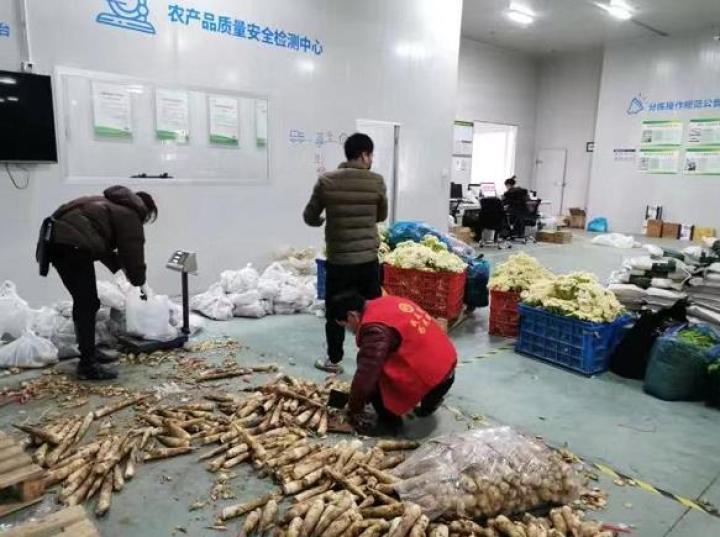 桐廬縣科技局項目進(jìn)展與創(chuàng)新動態(tài)更新