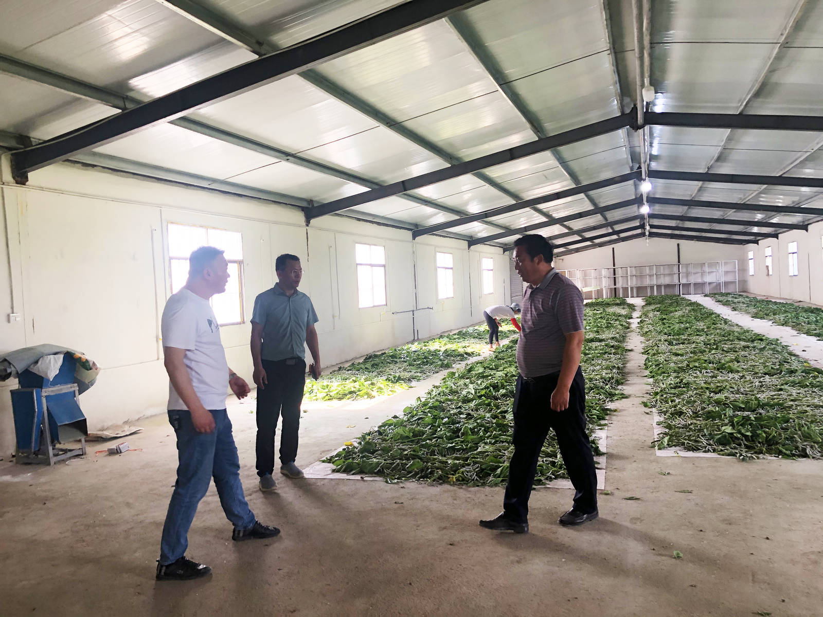 二龍山蠶種場招聘啟事