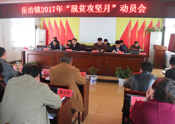 岳坊鎮(zhèn)新聞速遞，最新報道匯總