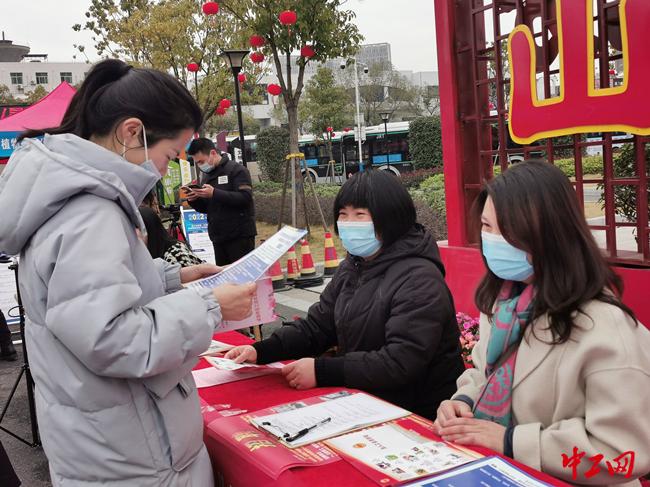 青原區(qū)小學(xué)最新招聘信息與展望概覽