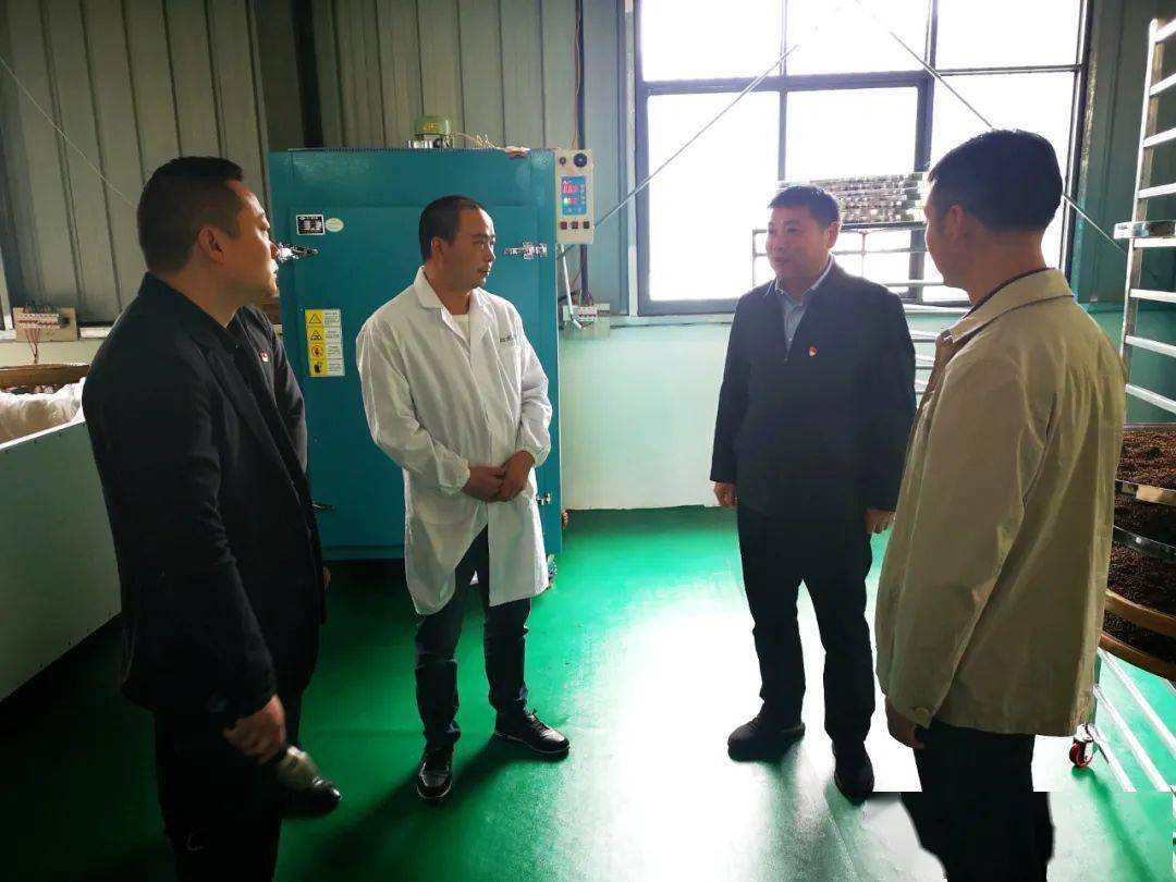 渾源縣住房和城鄉(xiāng)建設(shè)局最新發(fā)展規(guī)劃概覽