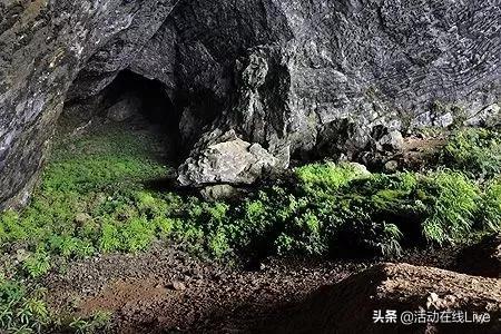 巴東縣民政局新項(xiàng)目推動(dòng)社會(huì)救助與社區(qū)發(fā)展深度融合創(chuàng)新實(shí)踐