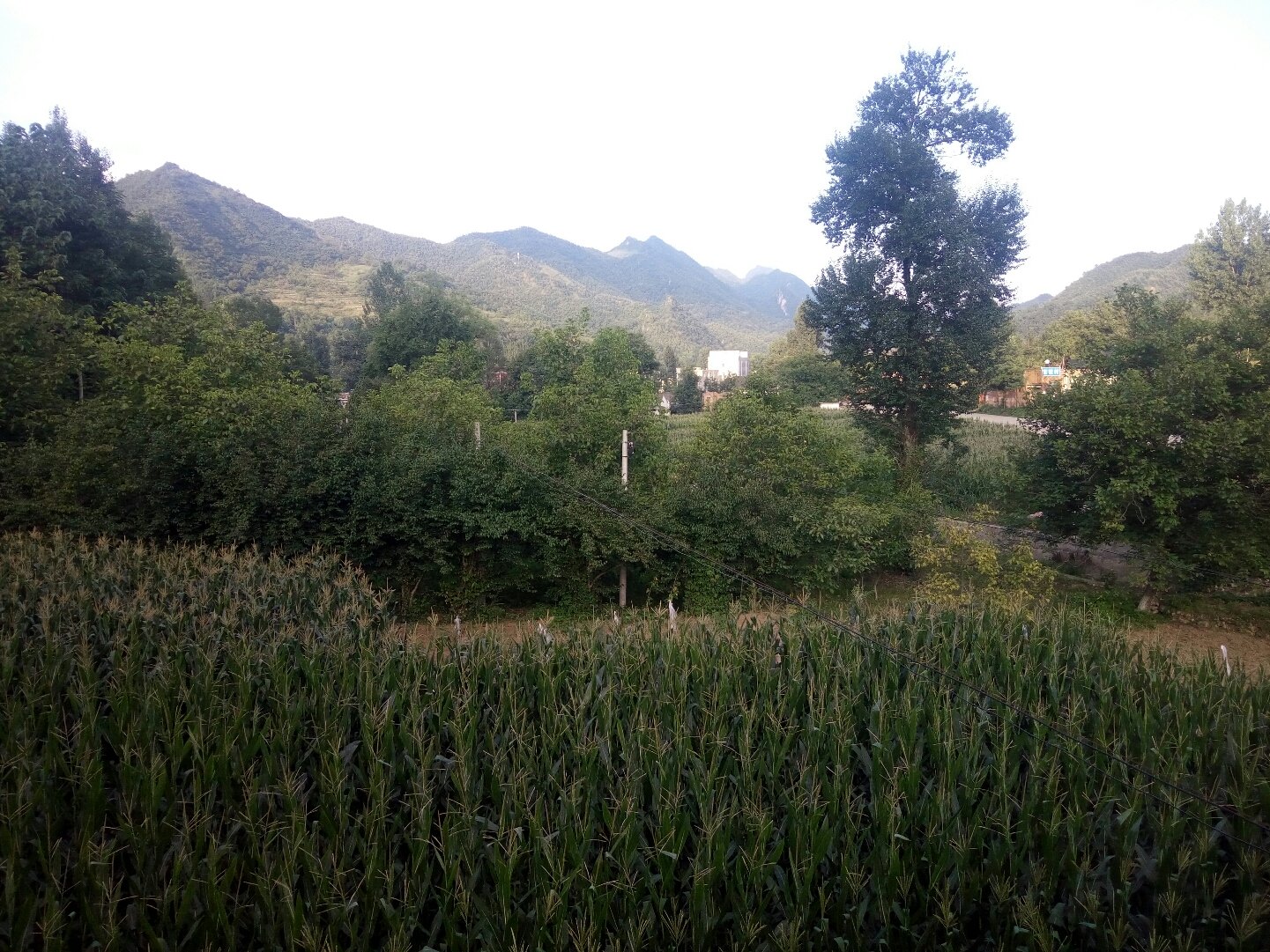 楊家灣鄉(xiāng)最新天氣預(yù)報(bào)信息通知