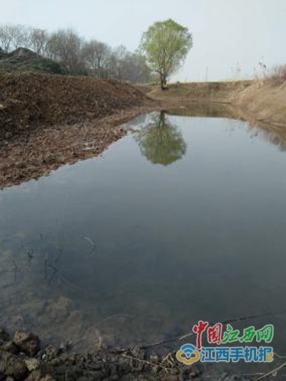 江州鎮(zhèn)新項(xiàng)目，地區(qū)發(fā)展的強(qiáng)大引擎引領(lǐng)未來(lái)