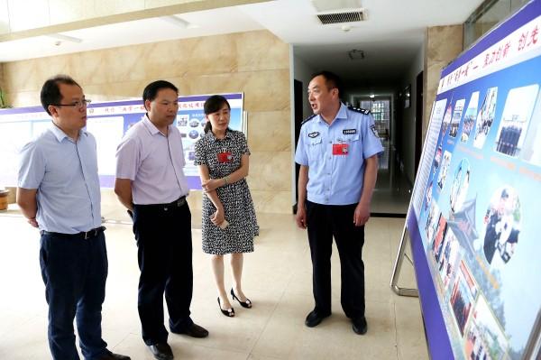 青陽縣數(shù)據和政務服務局最新項目全景解析