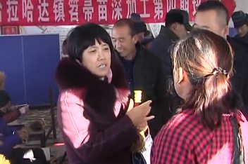 哈拉哈達(dá)鎮(zhèn)最新新聞概覽，最新動(dòng)態(tài)報(bào)道匯總