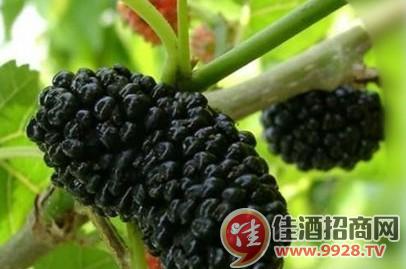 杰果桑居委會最新動態(tài)報道