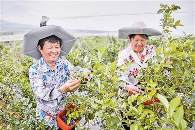 天子湖鎮(zhèn)發(fā)展動(dòng)態(tài)更新，最新新聞與未來亮點(diǎn)展望