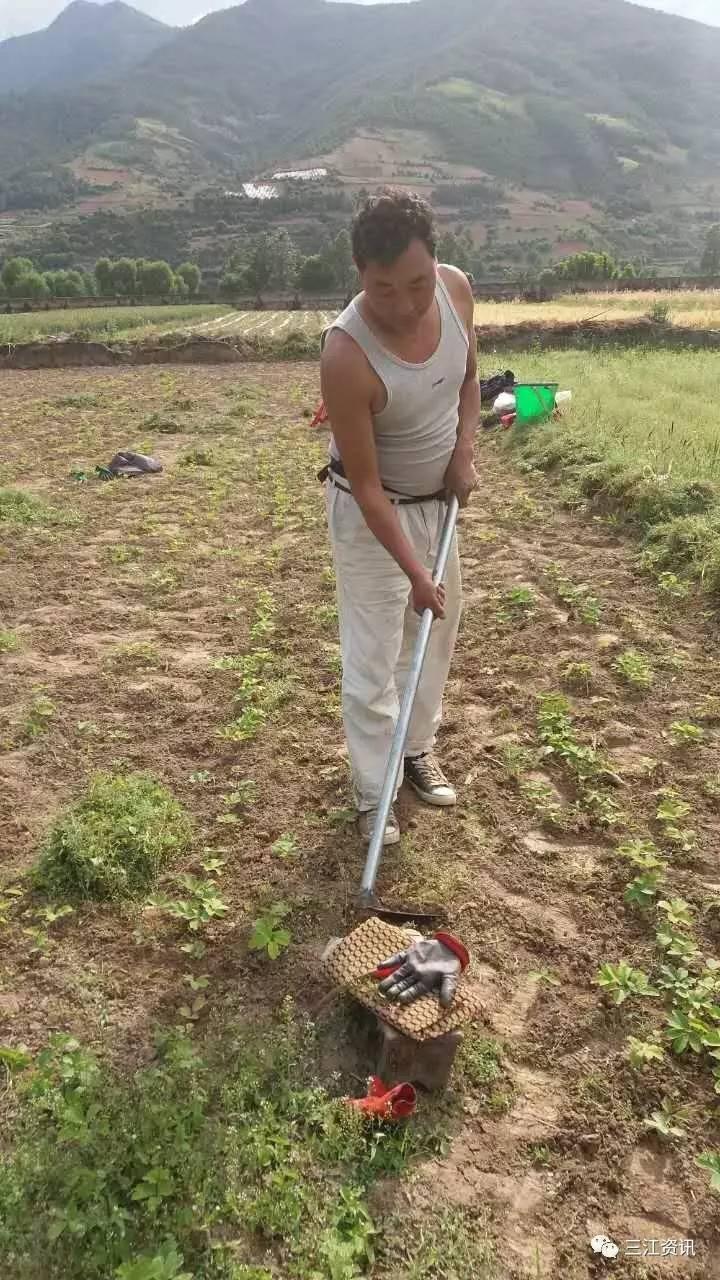 上江鄉(xiāng)新項(xiàng)目，鄉(xiāng)村發(fā)展的璀璨明珠引領(lǐng)未來(lái)
