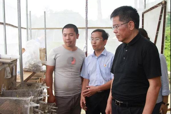 都江社區(qū)村開啟現(xiàn)代化交通新篇章，最新交通新聞匯總