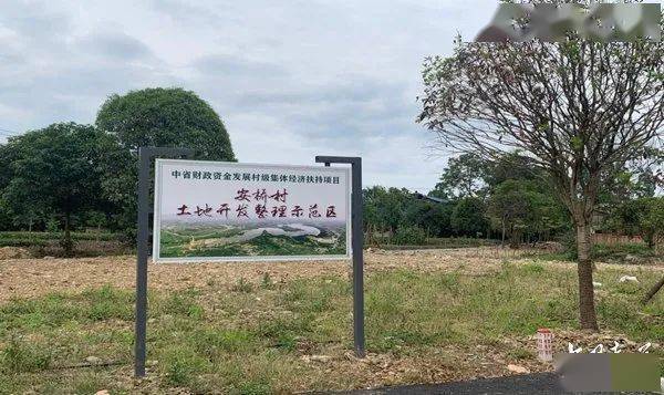 大安橋村新項(xiàng)目啟動(dòng)，鄉(xiāng)村振興新引擎