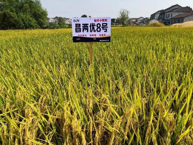 羅山縣科技局最新招聘信息與職業(yè)前景探討