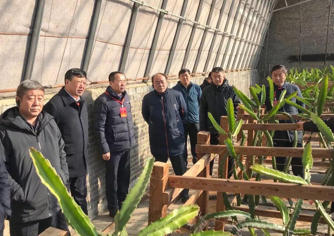 常興店鎮(zhèn)最新項(xiàng)目，地區(qū)發(fā)展的強(qiáng)大引擎引領(lǐng)者