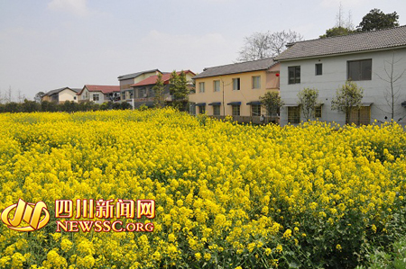 翠月湖鎮(zhèn)最新新聞概覽
