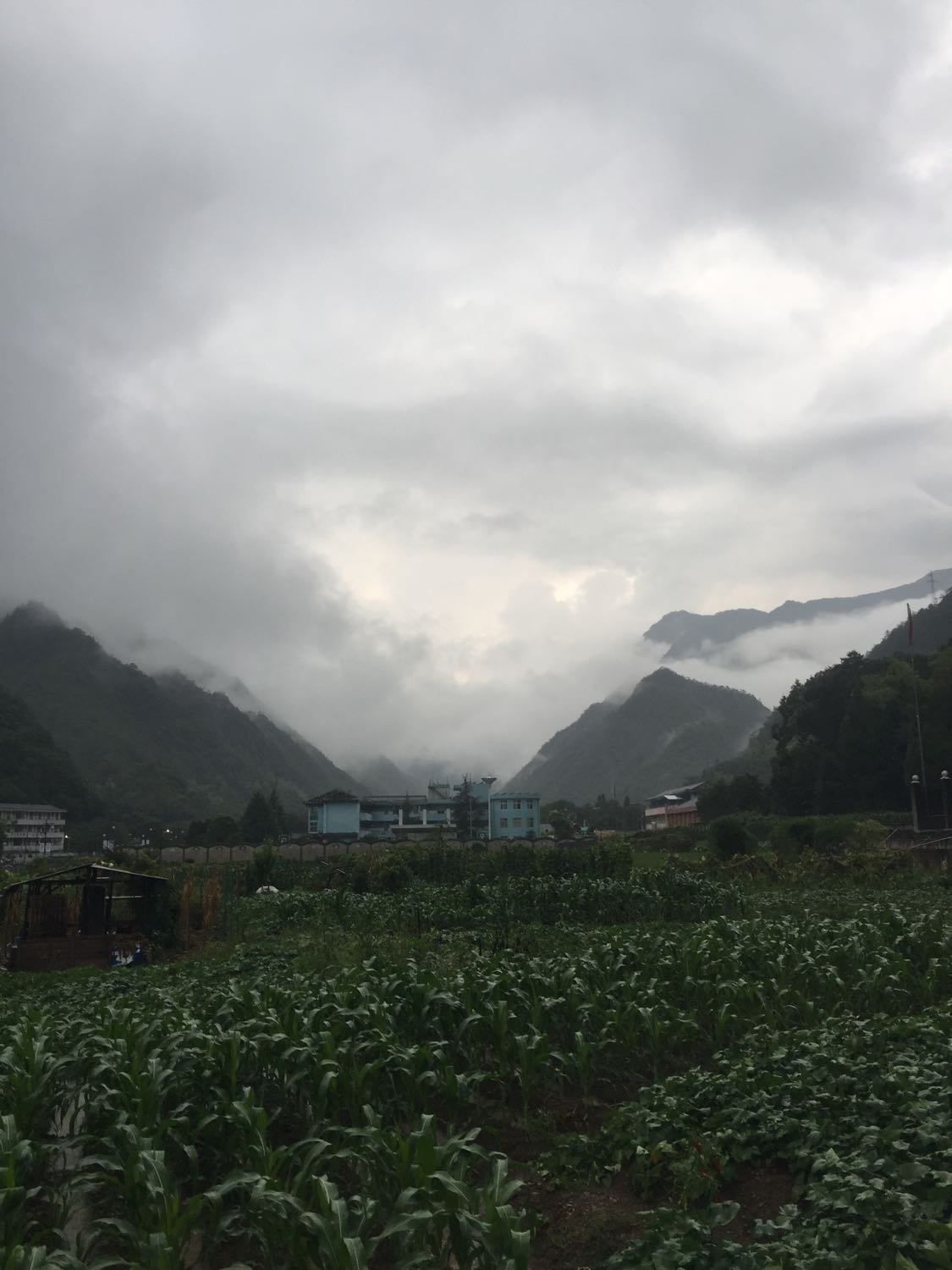 正南溝村委會天氣預(yù)報(bào)更新通知