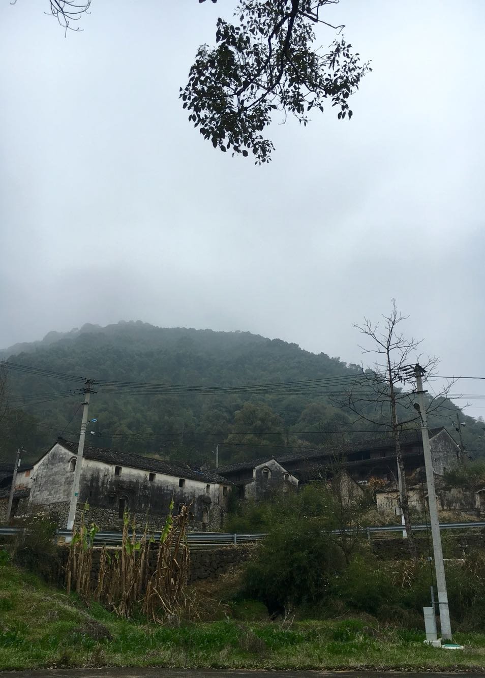 河市鎮(zhèn)天氣預(yù)報更新通知
