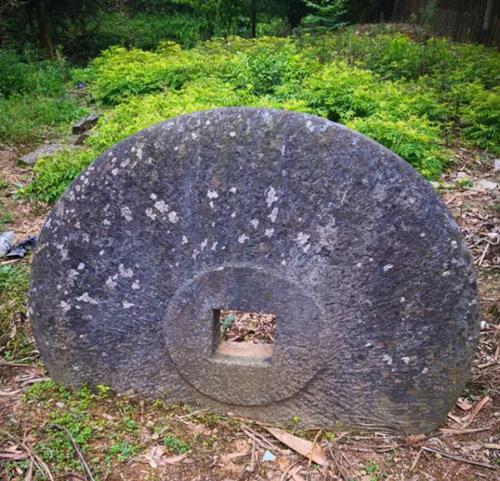 碼頭口村委會(huì)發(fā)展規(guī)劃概覽，邁向未來(lái)的藍(lán)圖