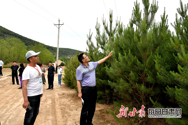 大鳳川林場發(fā)展規(guī)劃概覽