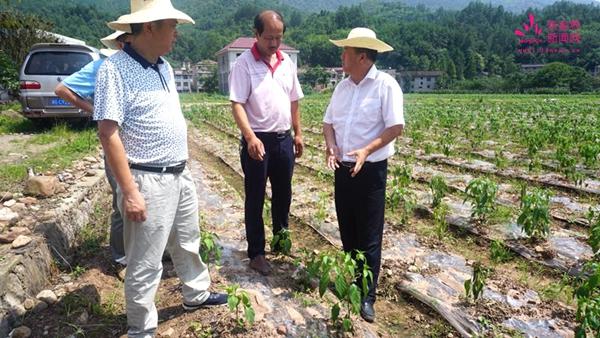 涼水口鎮(zhèn)繁榮發(fā)展新面貌，最新鄉(xiāng)鎮(zhèn)新聞更新