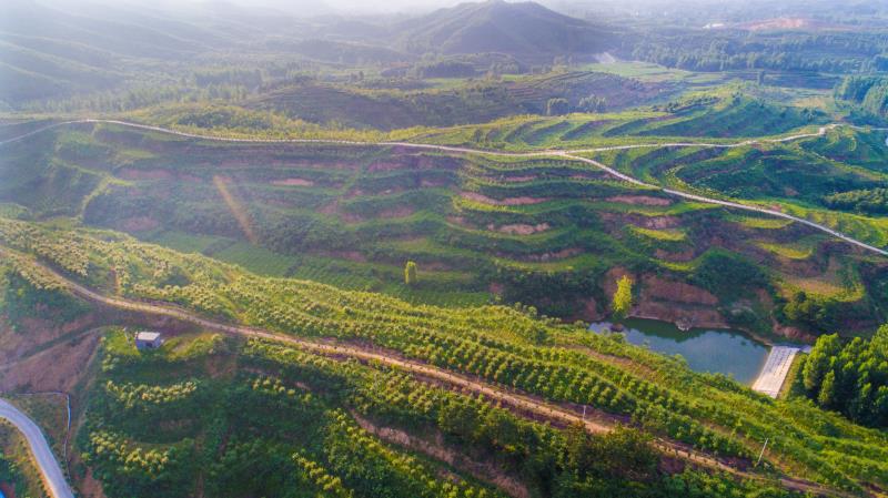 高公莊鄉(xiāng)天氣預(yù)報(bào)更新通知