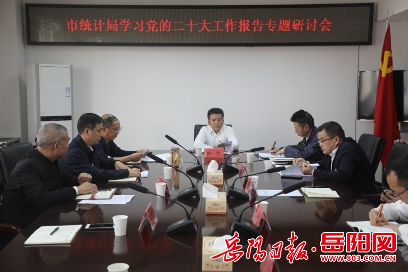 岳陽樓區(qū)統(tǒng)計局最新新聞發(fā)布，數(shù)據(jù)背后的故事揭秘