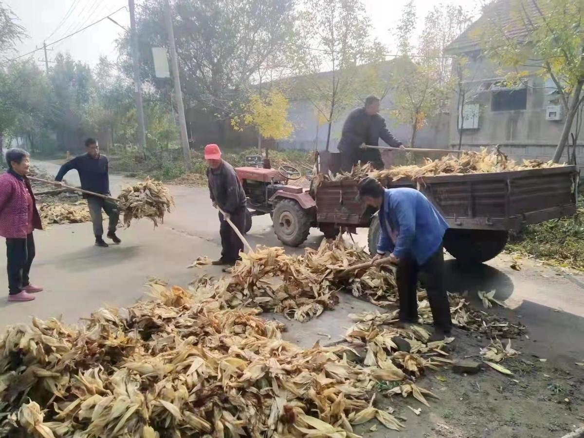 濱北街道最新發(fā)展規(guī)劃，塑造未來城市新面貌藍(lán)圖揭曉