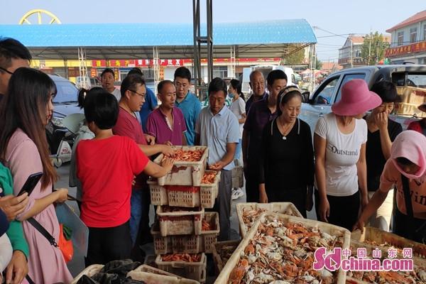 馮家鎮(zhèn)交通建設(shè)蓬勃發(fā)展，最新交通新聞速遞