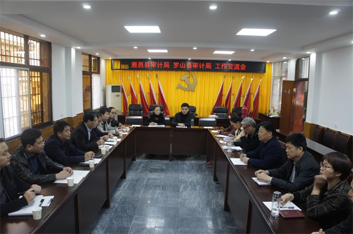 鹿邑縣審計(jì)局最新項(xiàng)目概況與進(jìn)展匯報(bào)