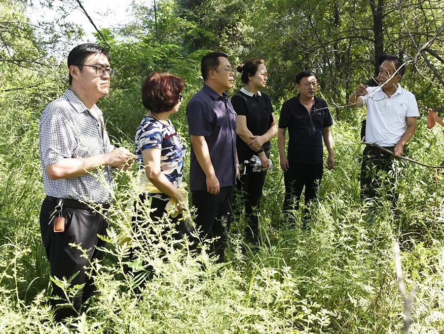 本溪市人民防空辦公室最新招聘公告概覽