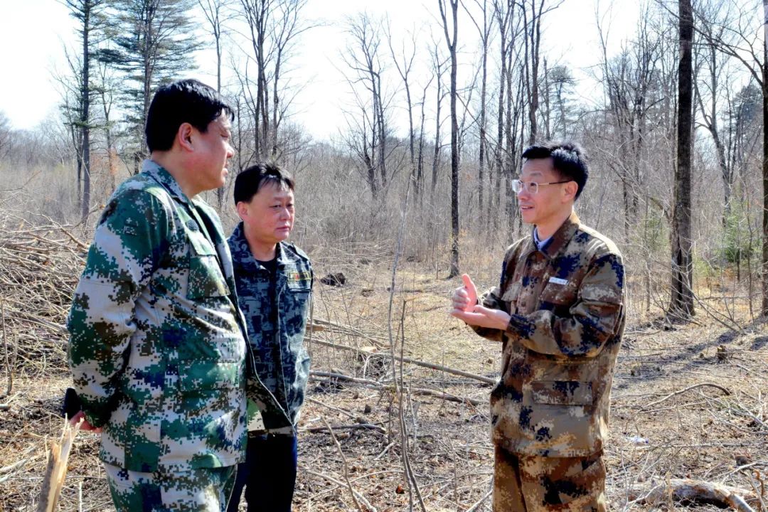 南列林場最新新聞動態(tài)報道
