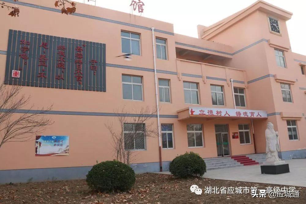 應城市圖書館未來發(fā)展規(guī)劃藍圖