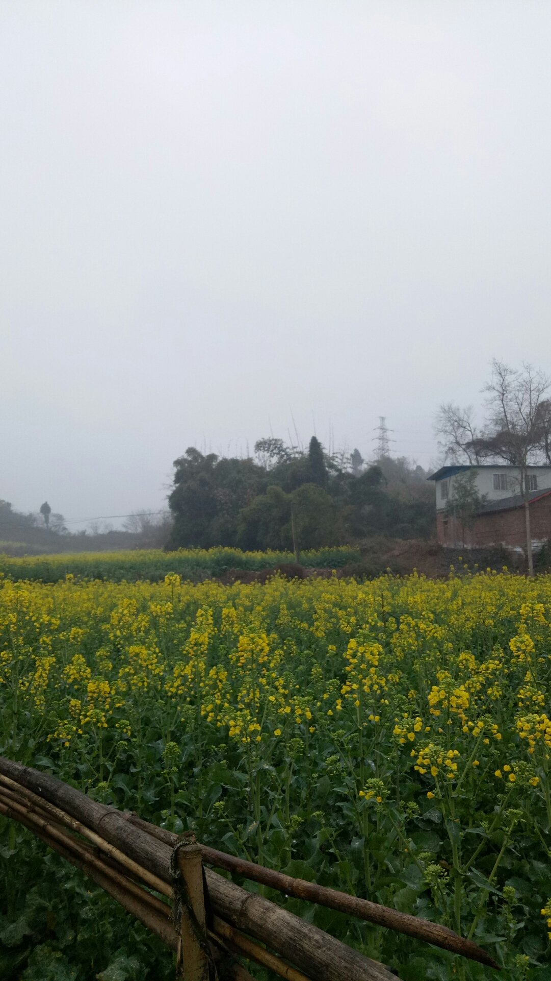 南興鎮(zhèn)最新天氣預報通知