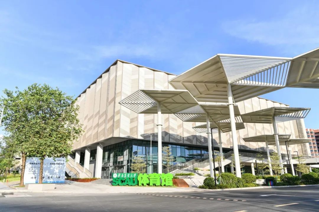 楚州區(qū)體育館最新新聞速遞