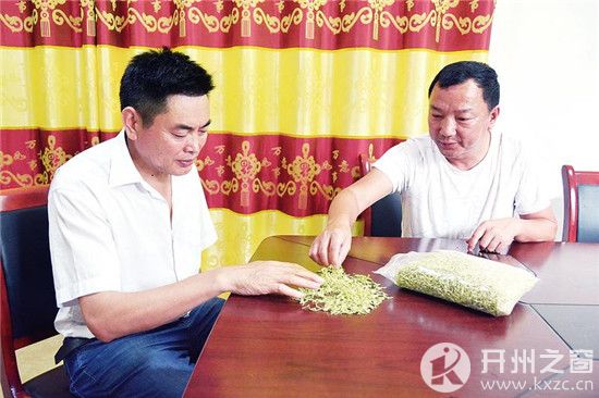 天和鎮(zhèn)最新新聞速遞