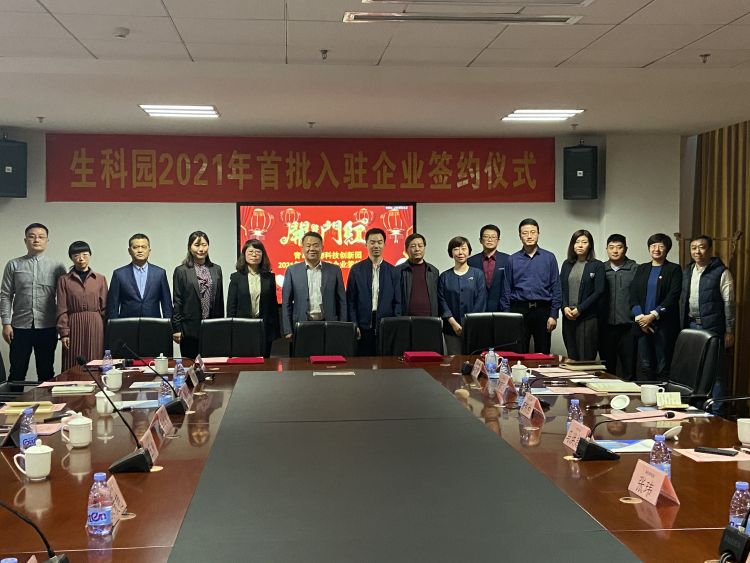 昌寧縣科學技術和工業(yè)信息化局最新項目進展報告，最新動態(tài)與成果概覽