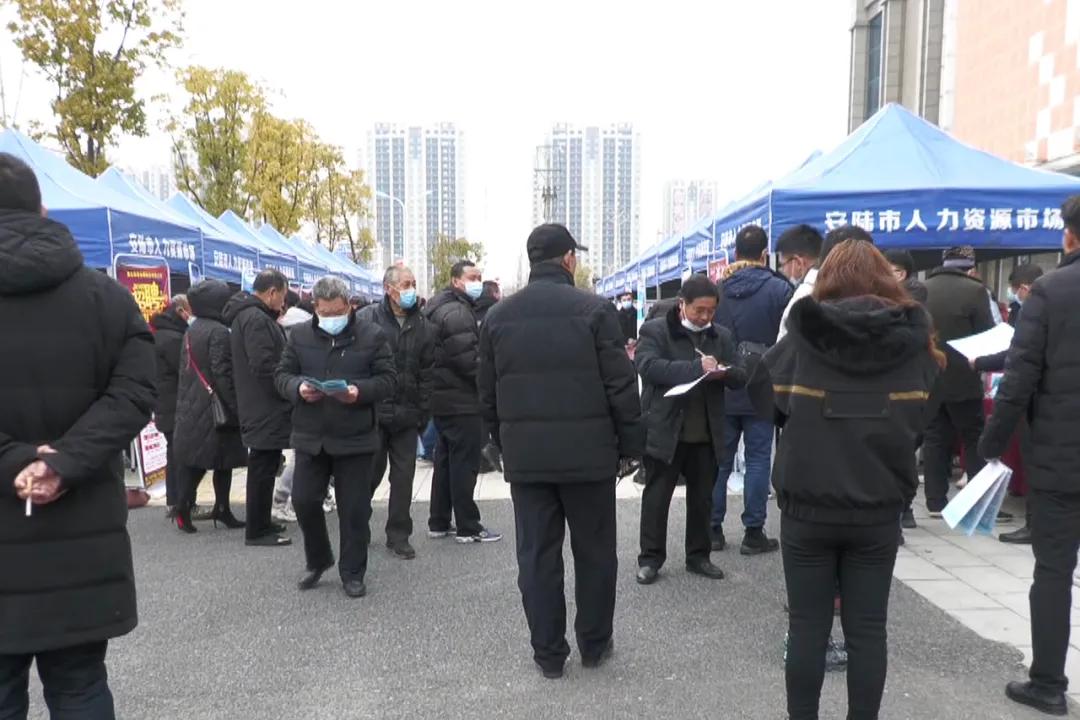 南城區(qū)街道辦事處最新招聘公告概覽