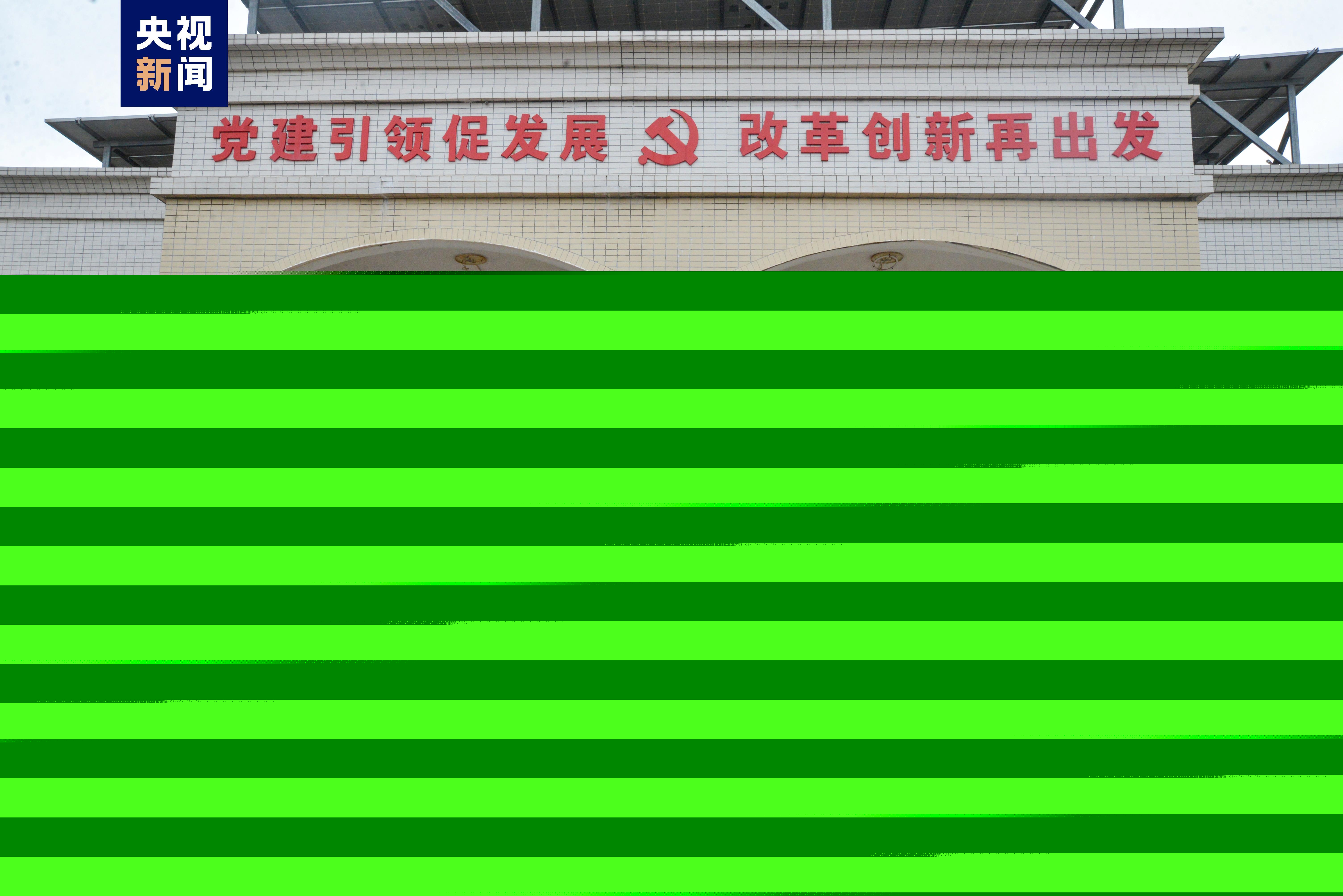 金盆掌村委會(huì)最新動(dòng)態(tài)報(bào)道