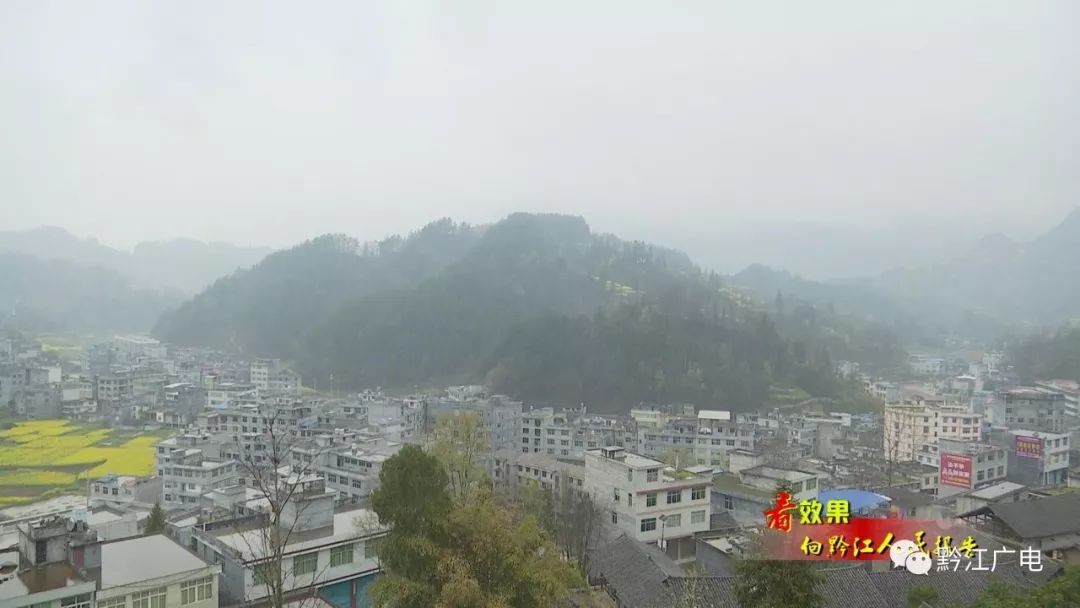 鵝池鎮(zhèn)最新新聞動(dòng)態(tài)報(bào)道