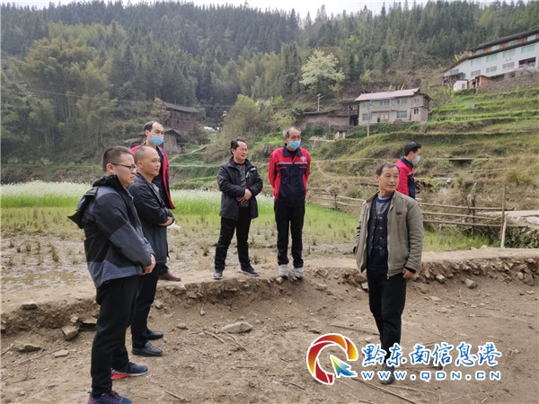 雷山縣農(nóng)業(yè)農(nóng)村局新項目推動農(nóng)業(yè)現(xiàn)代化，鄉(xiāng)村振興再添動力