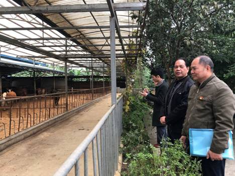 野生飼養(yǎng)場新領導引領變革，共筑生態(tài)繁榮新篇章