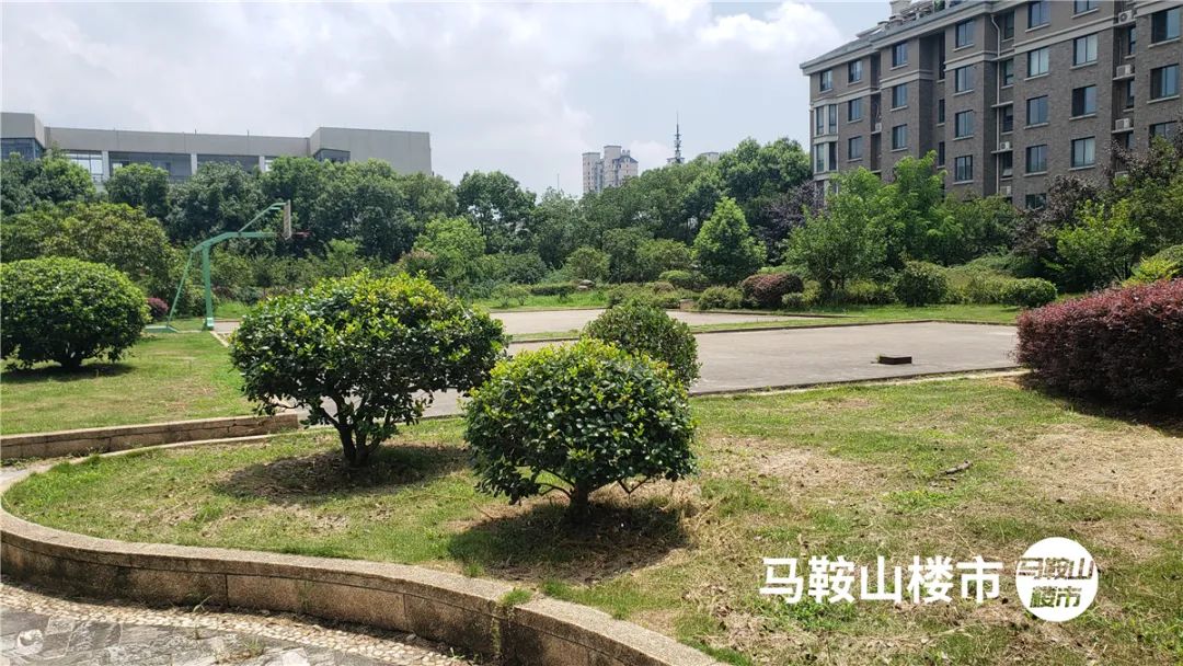 馬鞍山市園林管理局重塑城市綠色生態(tài)的最新項(xiàng)目啟動(dòng)