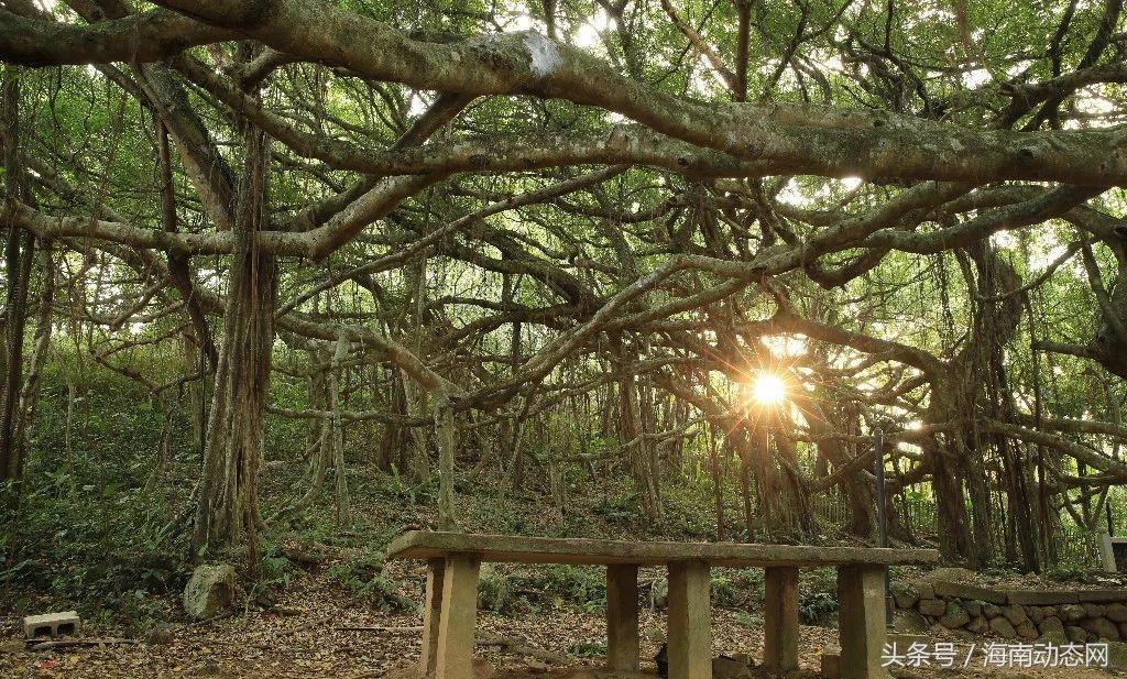 根沙村委會交通新聞更新