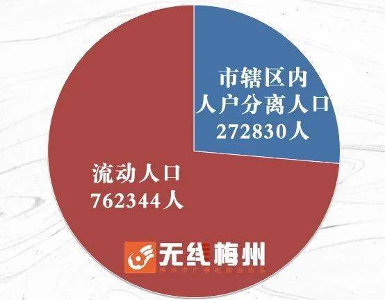 梅州市園林管理局人事任命展望，新局長(zhǎng)的挑戰(zhàn)與未來(lái)影響
