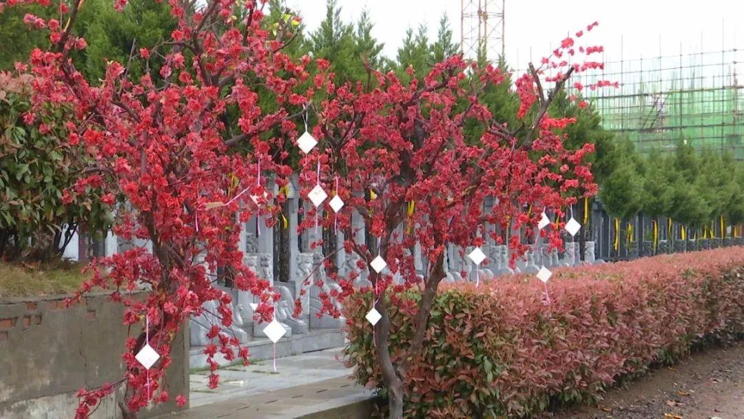 蜀山區(qū)殯葬事業(yè)單位人事任命更新，最新動(dòng)態(tài)揭曉
